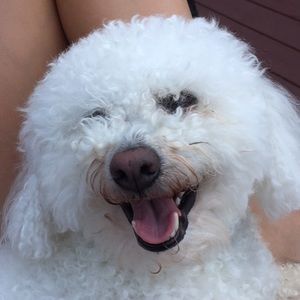 Meet your Posher, Mary